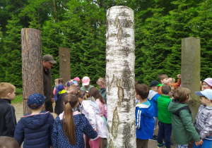 Dzieci poznają różne gatunki drzew